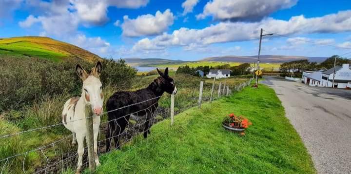 Cozy&Remote Cottage -newly renovated Ross Port Esterno foto